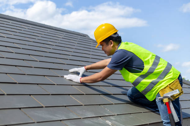 Steel Roofing in Apple Valley, MN