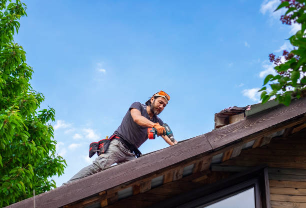 Best Rubber Roofing (EPDM, TPO)  in Apple Valley, MN