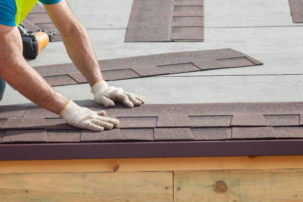 Professional Roofing and repair in Apple Valley, MN